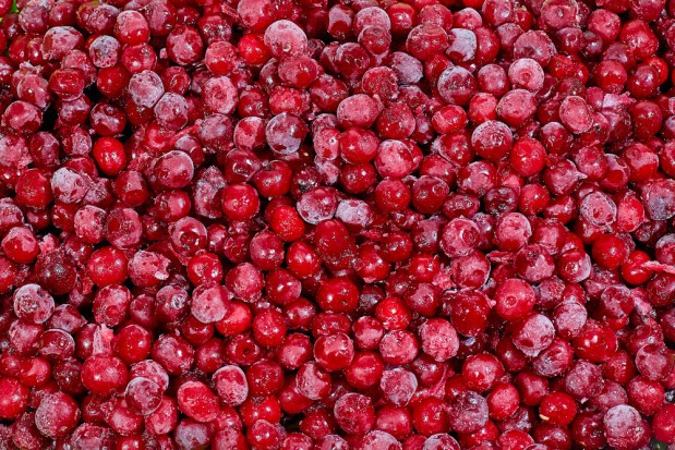 fot. shutterstock Silny wzrost cen mrożonych wiśni na rynku europejskim