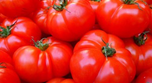 Przez niestabilne warunki pogodowe rosną ceny pomidorów