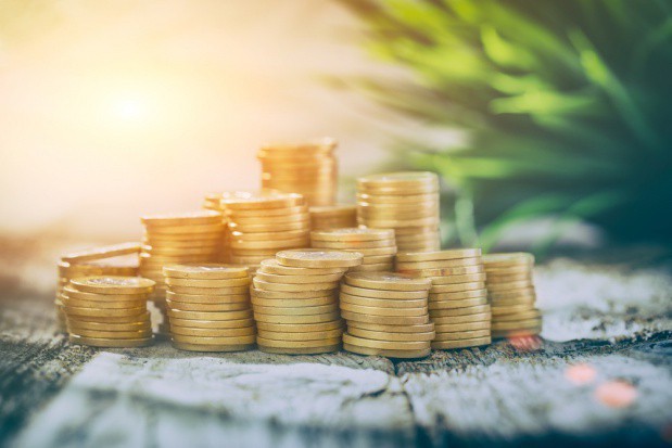 fot. shutterstock.com Wyższe ceny owoców wpłyną na wzrost inwestycji w sadownictwie?