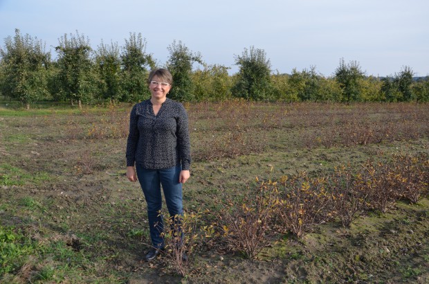 Anna Litwin, współwłaścicielka gospodarstwa zajmującego się uprawą jagody kamczackiej (Blue Haskap) / fot. sadyogrody.pl Blue Haskap: Szukaliśmy alternatywy dla jabłoni. Postawiliśmy na jagodę kamczacką! (zdjęcia)