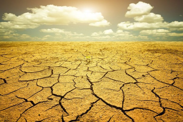 Hiszpania i Portugalia: Gminy apelują do rządów o pomoc w związku z suszą