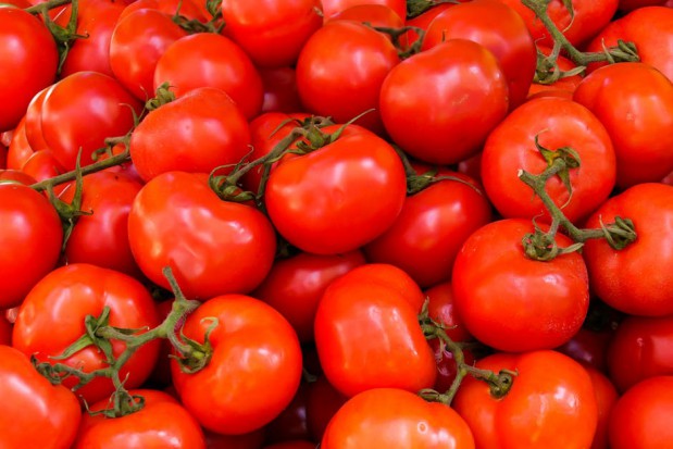 fot. pexels.com Plantatorzy pomidorów z Łowicza: To najtrudniejszy rok od 10 lat