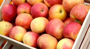 Czechy: Przekroczony poziom pozostałości w polskich jabłkach