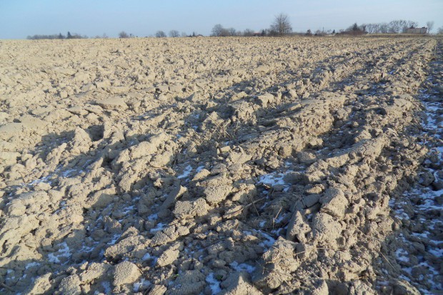 Fot. za Farmer.pl Rząd chce zmniejszyć odpływ azotanów do gleby