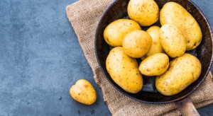 IERiGŻ: Niskie ceny ziemniaków na polskim rynku
