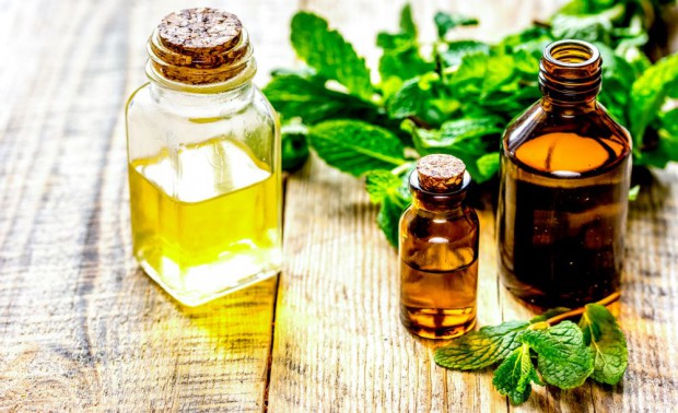fot. shutterstock.com Greenvit będzie produkować ekstrakty roślinne o wyższym stopniu czystości