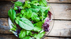 Spożywanie zielonych warzyw liściastych może opóźniać starzenie się mózgu