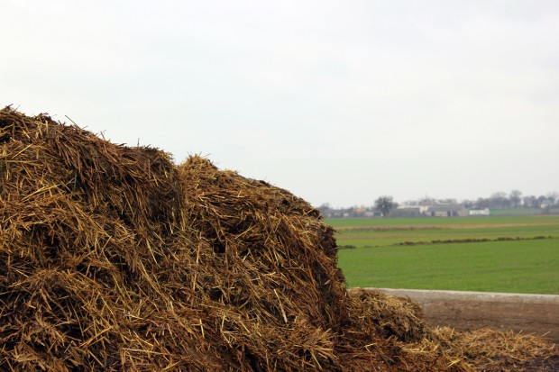 Fot. za Farmer.pl Mniej azotanów do wód. MRiRW pracuje nad nowymi przepisami