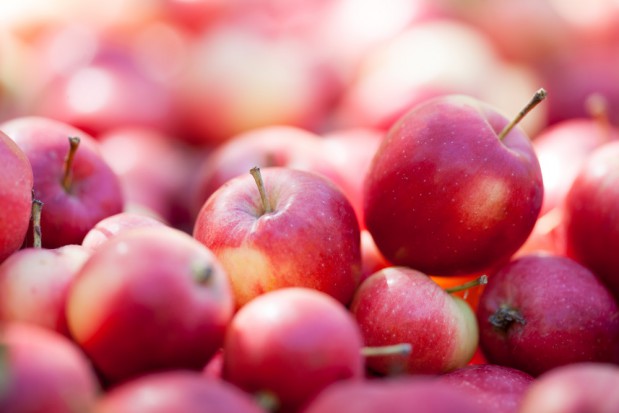 fot. shutterstock.com UO: Propozycje działań, które pozwolą produkować owoce bez pozostałości