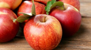 Kiedy ruszy eksport jabłek na Wschód?