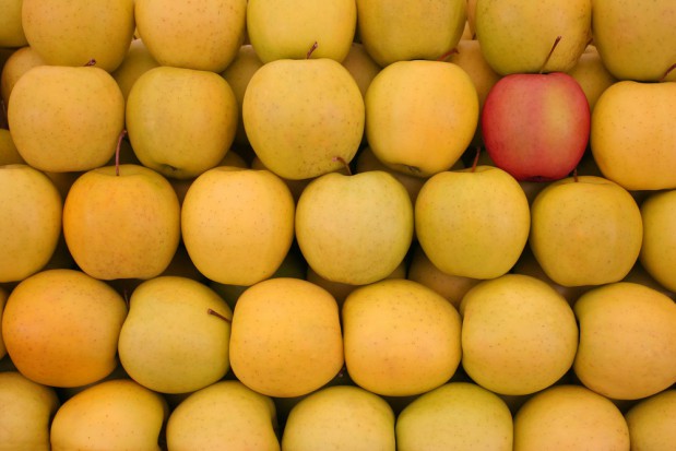 fot. shutterstock.com Francja: Zbiory jabłek większe niż oczekiwano, ale wciąż najmniejsze od 5 lat