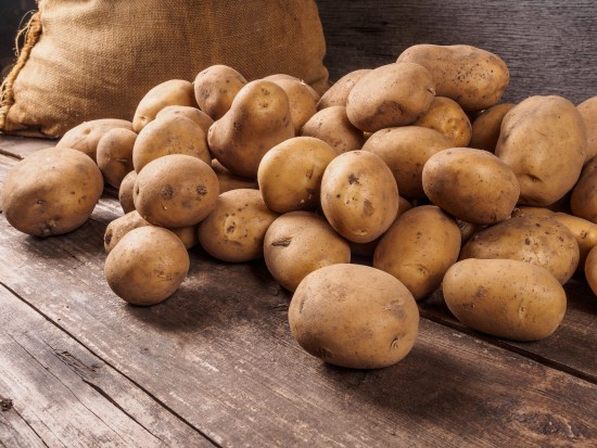 Gospodarstwo Rolne Jazdon, dostawca ziemniaków do Lidla: aby sprzedawać, należy produkować dobrze!