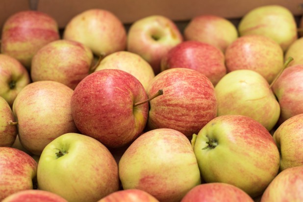 Jakie Odmiany Jablek Dominuja W Polskich Chlodniach Owoce