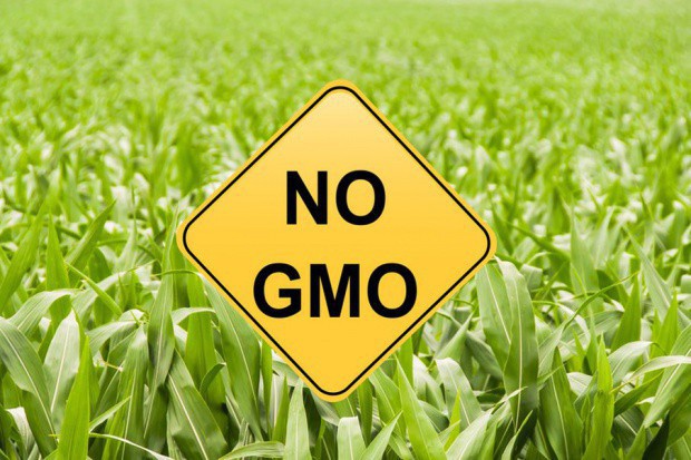 Znowelizowano ustawę o GMO. Kukiz'15: To nie zabezpiecza interesu rolników i konsumentów