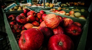 Ukraina zwiększyła dostawy jabłek do Białorusi