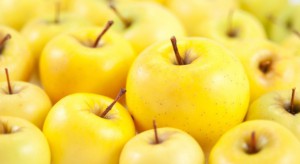 Hiszpańscy sadownicy korzystają na niskiej podaży jabłek w Europie