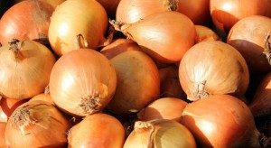 UE: Jakość cebuli gorsza niż w poprzednim sezonie