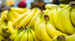 Spożycie bananów w Polsce rośnie szybciej niż konsumpcja owoców ogółem