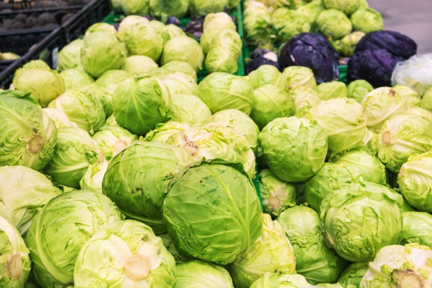 fot. shutterstock.com Ukraina: Ceny kapusty blisko dwukrotnie wyższe niż przed rokiem