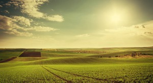 Zwiększyła się średnia powierzchnia obszarowa gospodarstw rolnych w Polsce