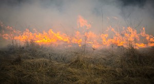 Grójeckie: 360 strażaków gasiło pożary traw 