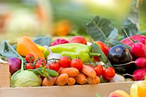 Parlament Europejski przyjął nowe, surowsze zasady produkcji żywności ekologicznej