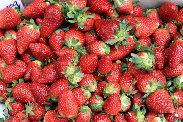 fot.shutterstock.com Węgry: Spodziewana wysoka ilość i dobra jakość truskawek