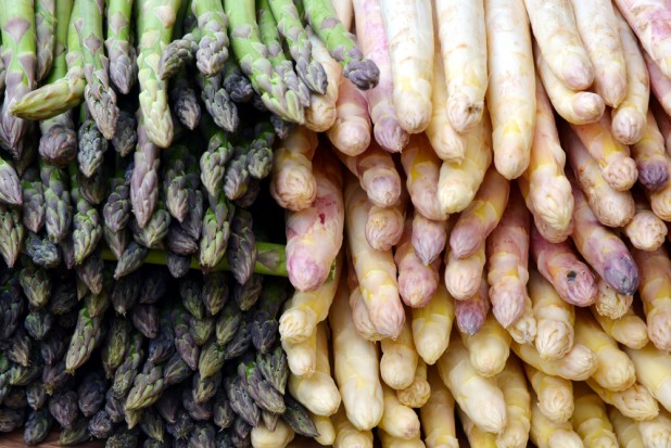 fot. shutterstock.com Wielkopolska: Producenci szparaga rozpoczęli zbiory