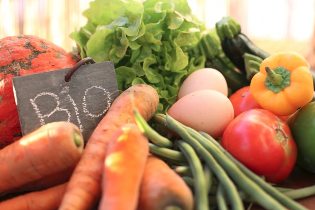 fot.shutterstock.com Polski Koszyk: Owoce i warzywa najchętniej wybieranymi produktami BIO