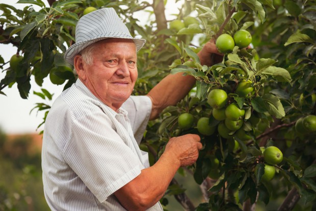 fot.shutterstock.com KRUS: nowe kwoty przychodów dla świadczeń emerytalno-rentowych od 1 czerwca 2018 r.