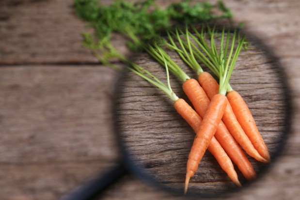 fot.shutterstock.com IJHARS przedstawiła wyniki kontroli jakości ziemniaków i warzyw