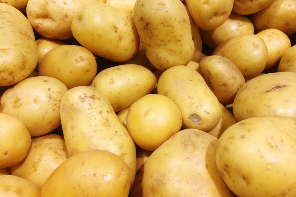 Belgia: Duża podaż i brak zapotrzebowania na rynku zaniżają cenę ziemniaka