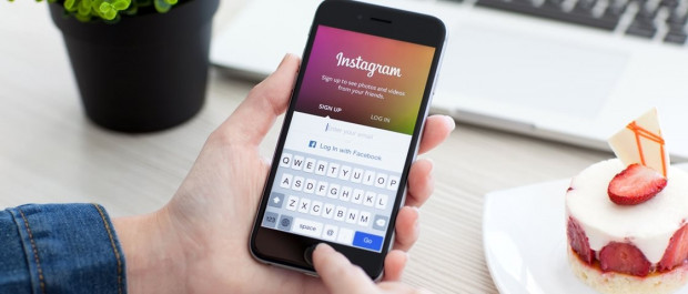 SadyOgrody.pl SadyOgrody.pl na Instagramie! Zapraszamy do obserwowania profilu!