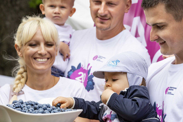 fot. mat. pras. Borówki 2018: Zbiory porównywalne z zeszłym rokiem, ceny - na zadowalającym poziomie