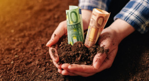 Resort rolnictwa wnioskuje o wsparcie finansowe UE w związku z suszą 