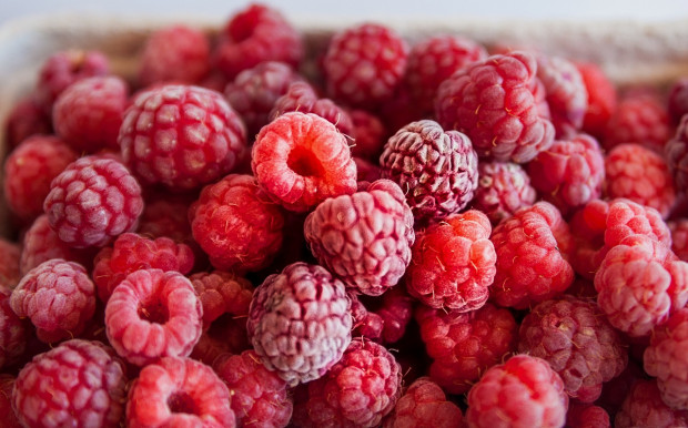 fot. pixabay.com MRiRW: Do 25 lipca ma być wzór umowy kontraktowej dla producentów owoców