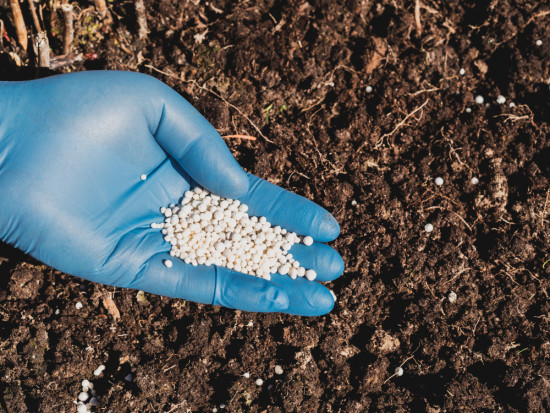 fot. shutterstock MRiRW: Zmiana rozporządzenia w sprawie stosowania nawozów