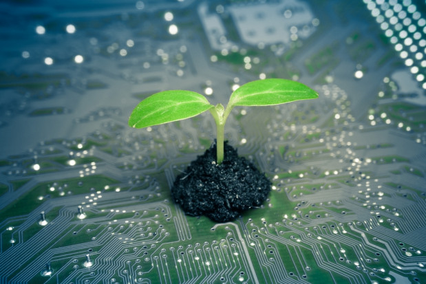 fot. shutterstock.com Sztuczna inteligencja a tworzenie idealnych roślin - wywiad z ekspertem AgriTech Hub