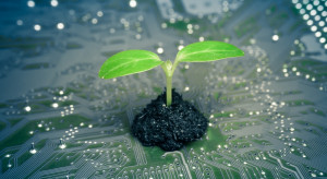 Sztuczna inteligencja a tworzenie idealnych roślin - wywiad z ekspertem AgriTech Hub