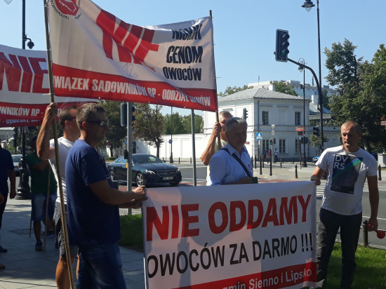 fot.sadyogrody.pl Maliszewski na proteście: Nagły skok cen skupu jabłek potwierdza, że zakłady działają w porozumieniu