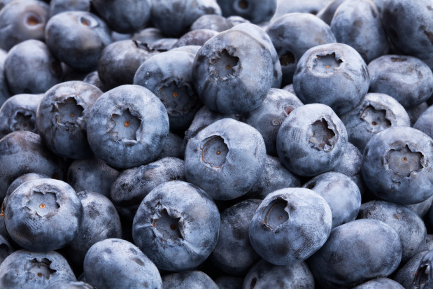 fot. shutterstock Rynki hurtowe: Ceny borówek amerykańskich dochodzą do 17 zł/kg (analiza)