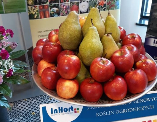 fot. sadyogrody Rusza projekt BioSafeFood czyli produkcja owoców i warzyw z użyciem biopreparatów