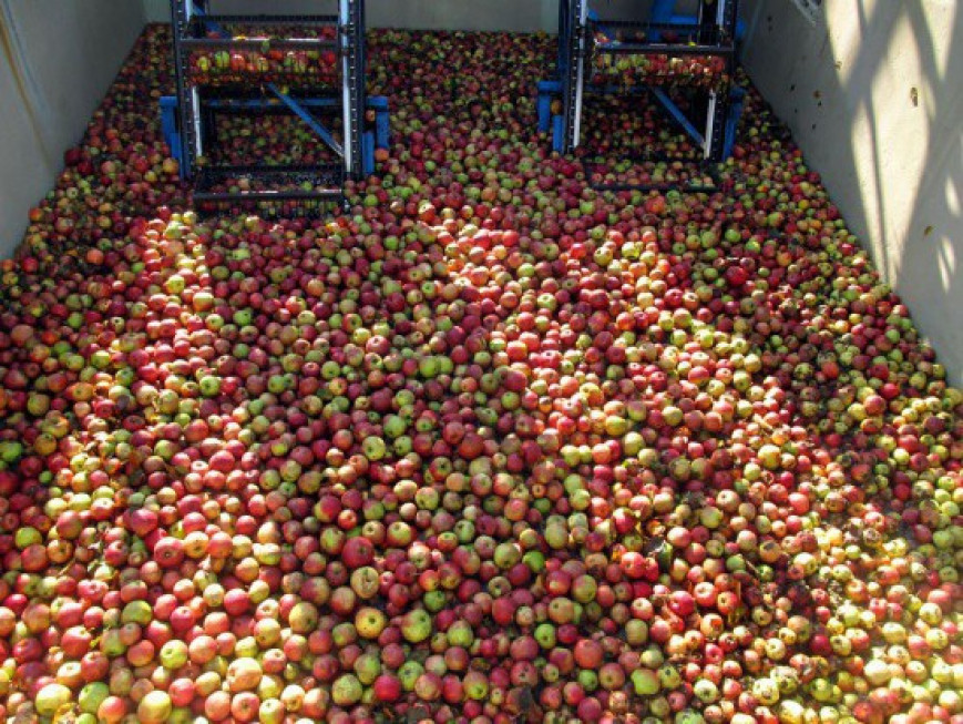 Ukraiński T.B. Fruit Rozpocznie Wkrótce Budowę Zakładu Przetwórczego Na ...