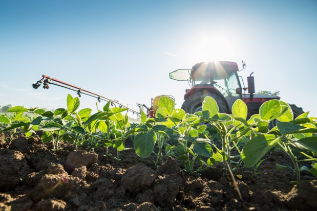 fot. shutterstock.com Rolnicy skarżą się na stale spadającą opłacalność produkcji rolnej