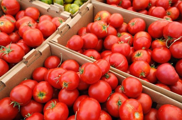 Pomidor - to owoc czy warzywo?