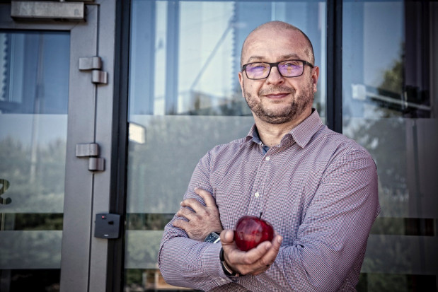 Sebastian Szymanowski, dyrektor operacyjny GPO Galster Galster: System handlu, który prowadzą sadownicy indywidualni, w grupach nie przechodzi
