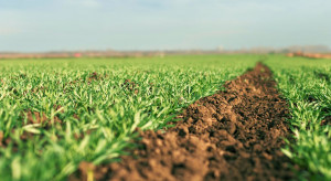 Czy można poprawić właściwości gleby przy zastosowaniu preparatów mikrobiologicznych?