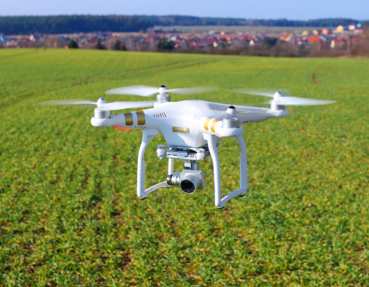 Raport: Brak dostępu do nowoczesnych technologii powoduje stagnację rolnictwa UE