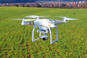 Raport: Brak dostępu do nowoczesnych technologii powoduje stagnację rolnictwa UE