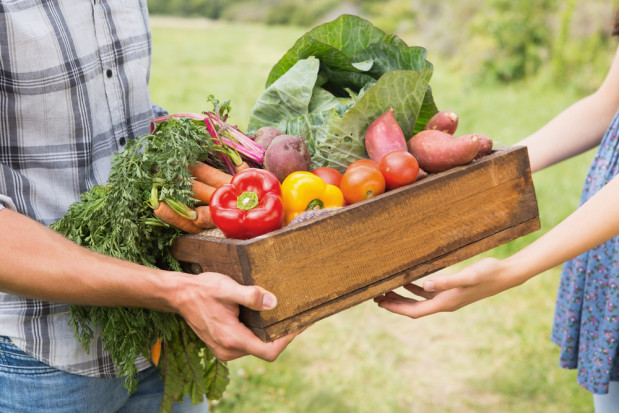 fot.shutterstock.com Rząd przyjął projekt ustawy ułatwiającej sprzedaż produktów przez rolników